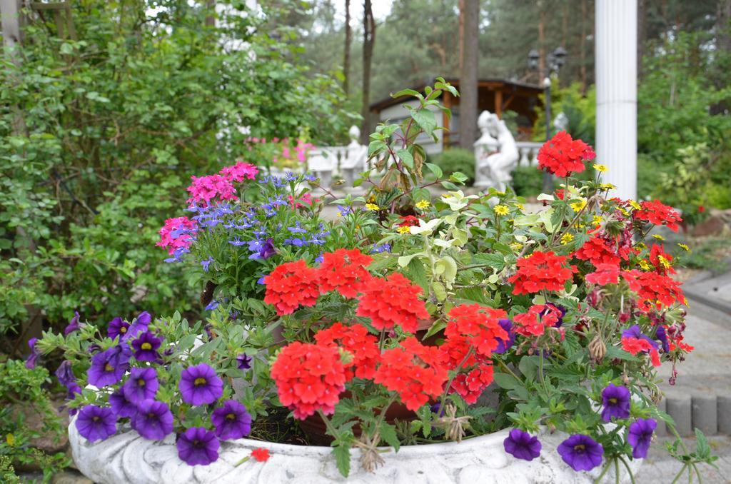 Bed&Breakfast Maciejanka Кобыла-Гура Экстерьер фото