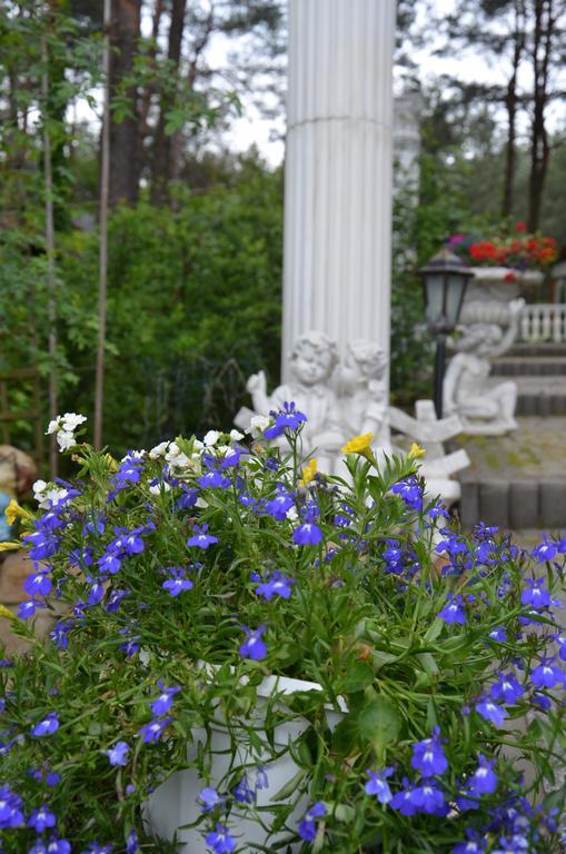 Bed&Breakfast Maciejanka Кобыла-Гура Экстерьер фото